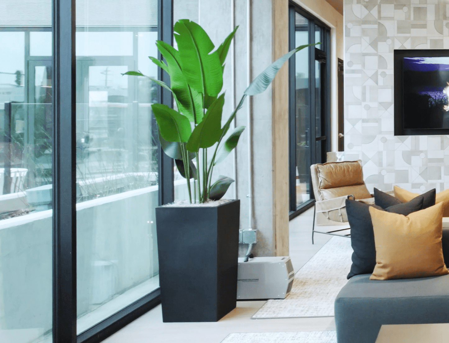 Plant Decor